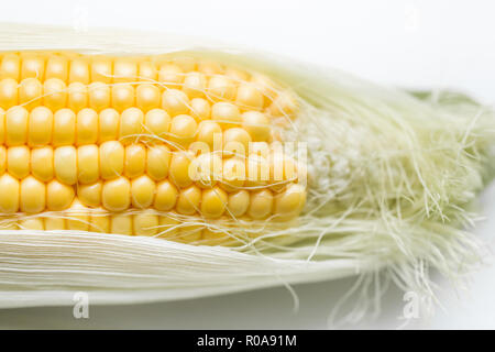 Mais closeup isoliert auf weißem Stockfoto