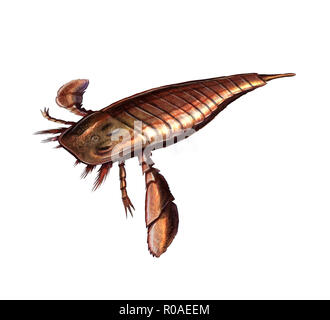 Silurische Eurypterid digitale Illustration. Prähistorische Stockfoto