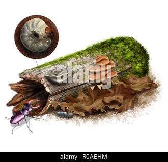Digitale Illustration eines bemoosten Ast mit Käfer Stockfoto