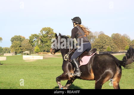 Cross country Training xc Schulbildung somerford Park Farm Pferd Reiter Stockfoto