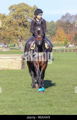 Cross Country XC Schule Reiten Reiter Eventing Stockfoto