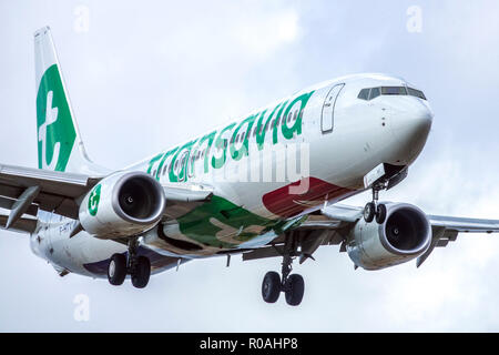 Flugzeug Boeing 737 Transavia Landung, Fahrgestell des Flugzeugs, Ausrüstung erweitert Palma de Mallorca Spanien Stockfoto