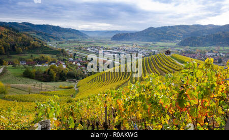 Schönen Weinberge und die Landschaft oberhalb des Dorfes Gengenbach im Schwarzwald in Deutschland Stockfoto