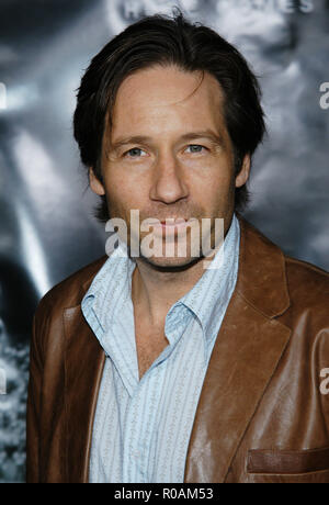 David Duchovny Ankunft am Freitag Abend Leuchten Premiere auf der Chinese Theatre in Los Angeles. Oktober 6, 2004. DuchovnyDavid089 einen roten Teppich Ereignis, Vertikal, USA, Filmindustrie, Prominente, Fotografie, Bestof, Kunst, Kultur und Unterhaltung, Topix Prominente Fashion/Vertikal, Besten, Event in Hollywood Leben - Kalifornien, Roter Teppich und backstage, USA, Film, Stars, Film Stars, TV Stars, Musik, Promis, Fotografie, Bestof, Kunst, Kultur und Unterhaltung, Topix, headshot, vertikal, eine Person aus dem Jahr 2004, Anfrage tsuni@Gamma-USA.com Stockfoto