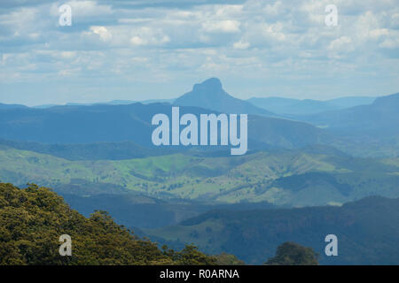 Auf der Python Rock weg - bei O'Reilly's Rainforest Retreat, Lamington National Park Stockfoto