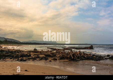 Tote Bäume am Strand bei Sonnenaufgang entlang Nukolii Beach Park, Kauai, Hawaii Stockfoto