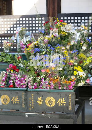 Nahaufnahme der steht auf Blumen außerhalb der großen Gebetshalle im Nishi Hongwanji Tempel Komplex, Kyoto, Japan Stockfoto