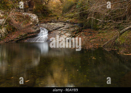 Wasserfall auf dem Fluss Prysor, Coed Felinrhyd, Wales, Großbritannien Stockfoto