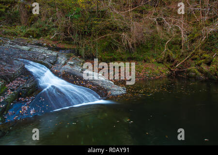 Wasserfall auf dem Fluss Prysor, Coed Felinrhyd, Wales, Großbritannien Stockfoto