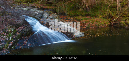 Wasserfall auf dem Fluss Prysor, Coed Felinrhyd, Wales, Großbritannien Stockfoto