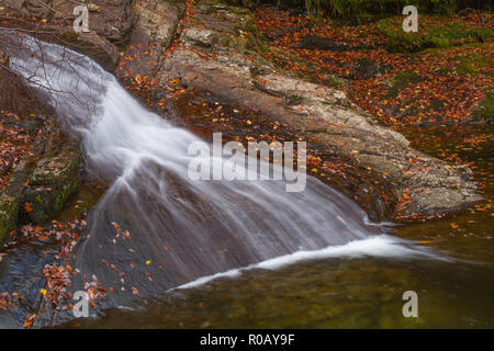 Wasserfall auf dem Fluss Prysor, Coed Felinrhyd, Wales, Großbritannien Stockfoto