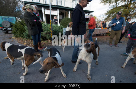 Usa - November 3, 2018: Unison Heritage Day Ereignisse wurden heute auf der Hauptstraße im Dorf statt mit Nachbarn aus Fox des Piemont Jagd Stockfoto