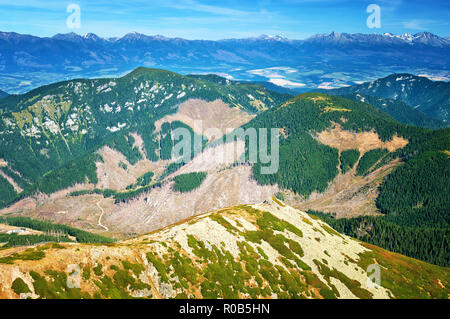 Mountain Nationalpark Niedere Tatra, Slowakei Stockfoto