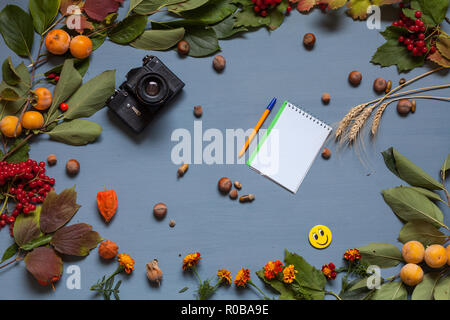 Herbst gelbe und rote Blätter und Früchte auf einem grauen Hintergrund Stockfoto