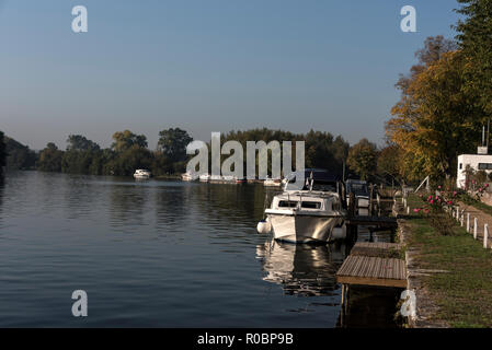 Günstig Boas auf der Themse in Marlow in Buckinghamshire, Großbritannien Stockfoto