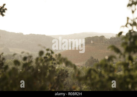 Val d'Orcia im Regen, in der Nähe von Montalcino, Toskana, Italien Stockfoto