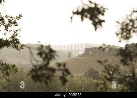 Val d'Orcia im Regen, in der Nähe von Montalcino, Toskana, Italien Stockfoto