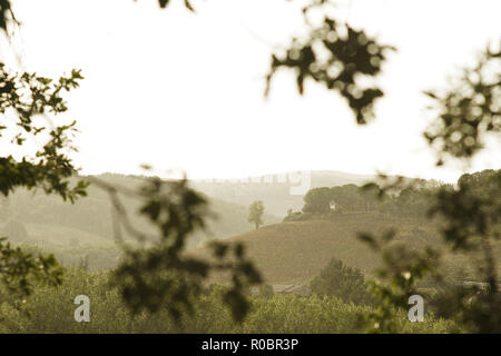 Val d'Orcia im Regen, in der Nähe von Montalcino, Toskana, Italien Stockfoto