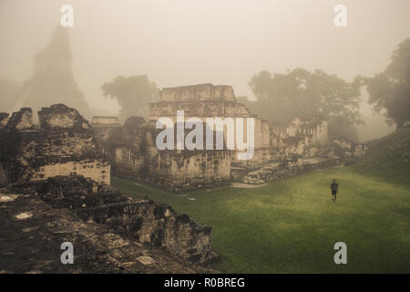 Maya Ruinen von Tikal, Guatemala, die Stadt von einer alten Zivilisation in Mittelamerika. Stockfoto