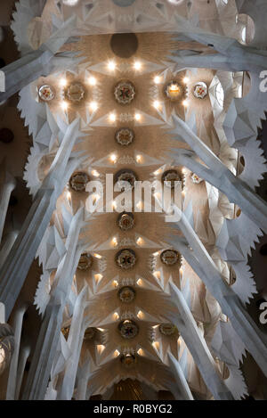 Aufwändige Konstruktion der Decke der Sagrada Familia, Barcelona, Spanien Stockfoto