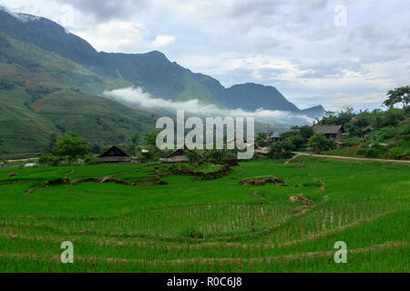 Saftig grüne Reisfelder in Sapa Vietnam Stockfoto