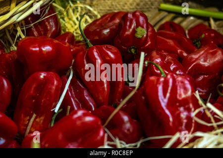 Scotch Bonnet Chili Peppers auf Verkauf in der London Borough Market Stockfoto