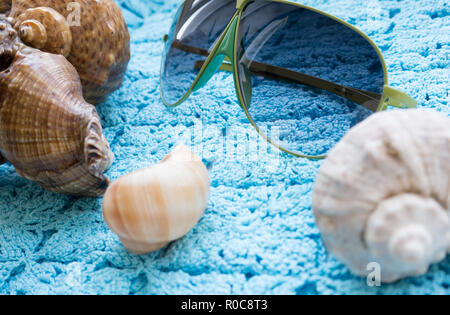 GOMEL, BELARUS - 18. AUGUST 2018: JeeVice Sonnenbrille. In Italien mit hochwertigen Materialien und viel Liebe zum Detail hergestellt. Stockfoto