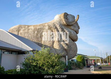 Big Merino konkrete Struktur der Wollindustrie in Goulburn, New South Wales, Australien Stockfoto