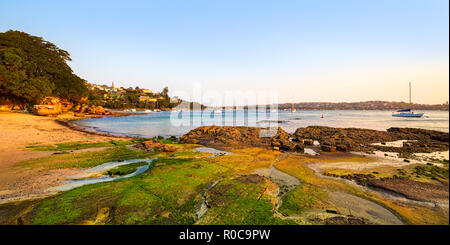 Einsiedler Bay in Sydney Harbour National Park bei Ebbe. Vaucluse, Sydney, New South Wales. Stockfoto