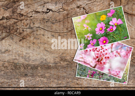 Schöne Blumen Fotos auf alten Holztisch Stockfoto