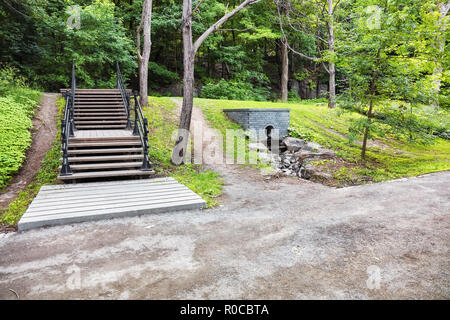 Die Treppen, grüne Gräser und Bäume im Royal Park in Montreal, Kanada im Sommer. Stockfoto