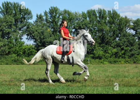 Reiterliche Ausbildung Sportlerin mit Pferd Stockfoto