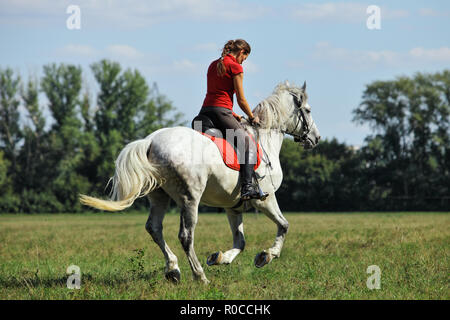 Reiterliche Ausbildung Sportlerin mit Pferd Stockfoto