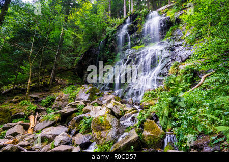 Deutschland, magische Atmosphäre mit Moos bedeckte Steine Zweribach Cascade in Schwarzwald Landschaft Stockfoto