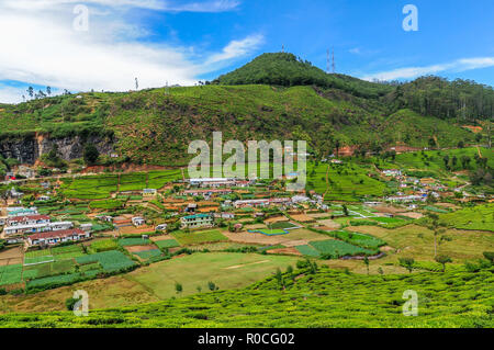 Kaffee Felder in Nuwara Eliya, Sri Lanka Stockfoto