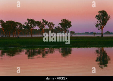 Yellow Water Billabong, Kakadu Stockfoto