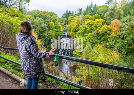 Wurf in malerischen Orten fiel Stockfoto