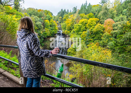 Wurf in malerischen Orten fiel Stockfoto