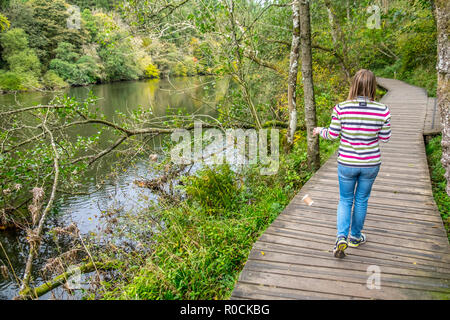 Wurf in malerischen Orten fiel Stockfoto