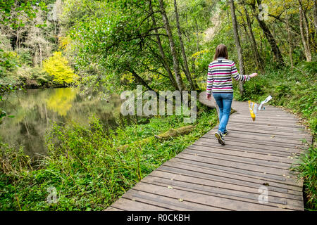 Wurf in malerischen Orten fiel Stockfoto