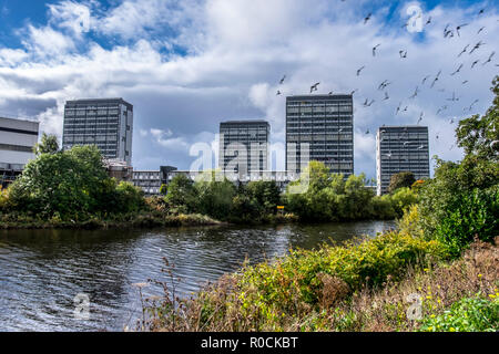 Fluss Clyde Glasgow, Stadtzentrum und hi Aufstieg Wohnungen in den Gorbals Stockfoto