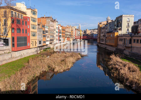 Rio Onyar Ciudad Vieja, der Altstadt mit den bunten Häusern, Girona, Katalonien, Spanien Stockfoto