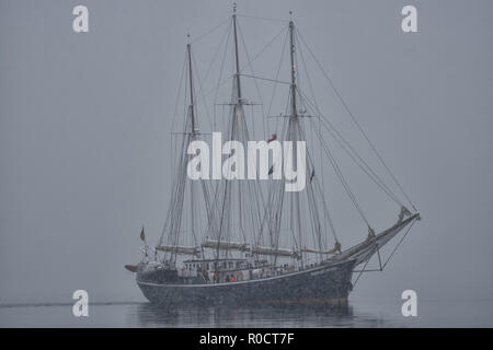 Die Segeln schoner Rembrandt van Rijn in Schneefall, Kangertittivaq, Grönland. Stockfoto