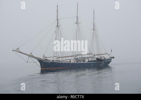 Die Segeln schoner Rembrandt van Rijn in Schneefall, Kangertittivaq, Grönland Stockfoto