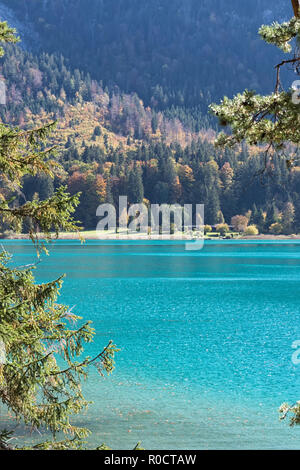 Blick auf den türkisfarbenen Alpsee und das Alpseebad von einem Weg rund um den See im Herbst. Schwangau, Füssen, Bayern, Deutschland Stockfoto