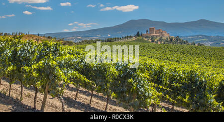 Schloss beaufsichtigen Weinberge mit Reihen von Trauben von einem Hügel an einem klaren Sommertag Stockfoto