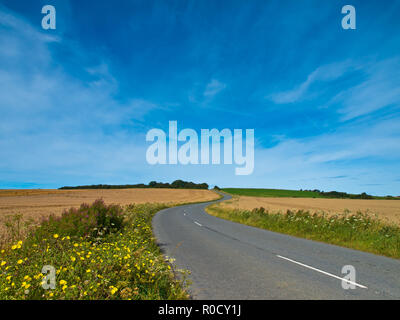 Gewundene Asphaltstraße in französische Landschaft Stockfoto