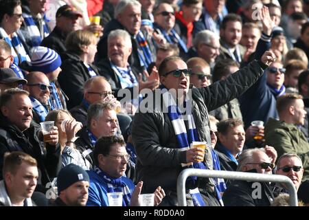 Duisburg, Deutschland. 03 Nov, 2018. firo: 03.11.2018 Fußball, 2. Bundesliga, Saison 2018/2019 MSV Duisburg - SC Paderborn 07 Einen angezogen MSV Fan. | Verwendung der weltweiten Kredit: dpa/Alamy leben Nachrichten Stockfoto