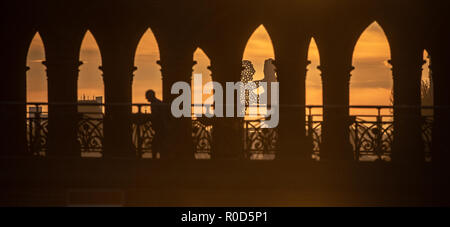 Berlin, Deutschland. 02 Nov, 2018. Das monumentale Kunstwerk Molecule Man von dem amerikanischen Bildhauer Jonathan Borofsky zwischen die Spalten der Oberbaumbrücke gesehen werden kann. Credit: Paul Zinken/dpa/Alamy leben Nachrichten Stockfoto