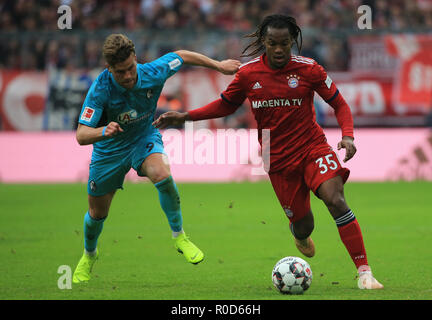 München, Deutschland. 3. November, 2018. Bayern München Renato Sanches (R) Mias mit Freiburger Lucas Holer während eines Deutschen Bundesligaspiel zwischen Bayern München und der SC Freiburg, in München, Deutschland, November 3, 2018. Das Match endete mit einem 1-1. Credit: Philippe Ruiz/Xinhua/Alamy leben Nachrichten Stockfoto